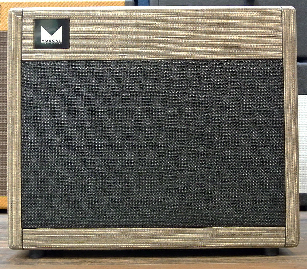 Morgan Amplification SW22R Reverb Combo Amp Driftwood